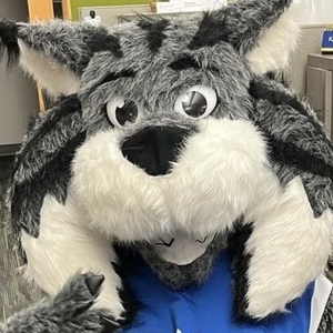 Team Page: Rolling Average